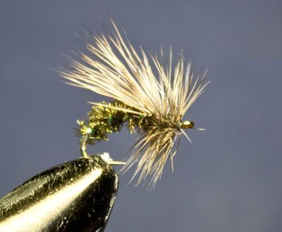 Мушка T&CS Mayfly Caddis-gold (сух) 6 Россия фото